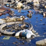 FOCUS ON: Health of the Environment