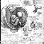 Birth control for menopausal women