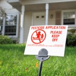 How Toxic Is Your Home?