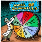 The FDA's Wheel of Salmonella