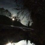 Medicine of the Cold Moons