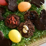 Easter Fudge Sunny Bunnies and Choco-Coco Nests