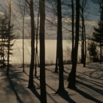 InsideOut: Introduction