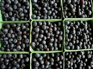 Antioxidant-rich blueberries