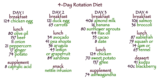 Migraine Diet Menu