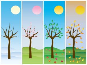 Four seasons