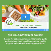 Mold Detox Diet Course