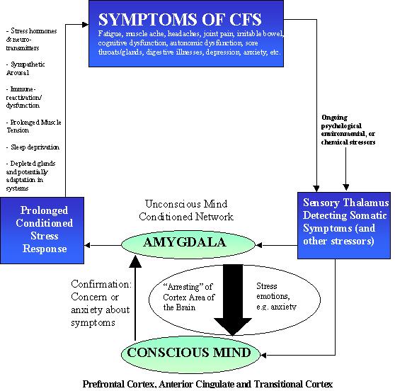 Unconscious Mind Conditioned Network