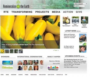 Remineralize the Earth website