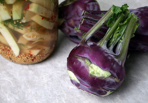 cultured kohlrabi dill pickles