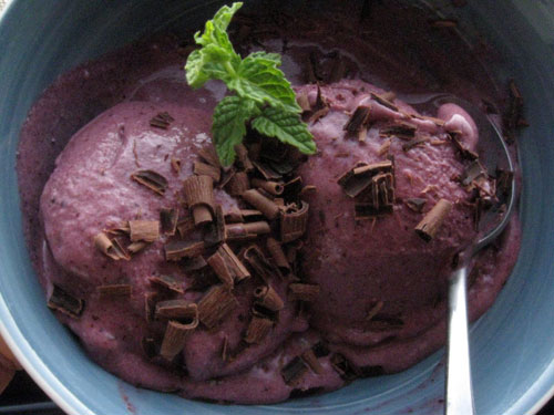 Cherry chocolate coconut ice cream