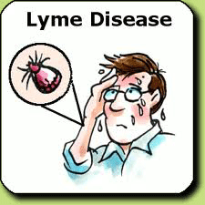 Lyme disease: A history of chasing bugs