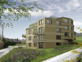 Swiss teamwork creates non-toxic apartments
