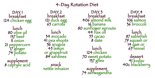 4-Day Rotation Diet Menu