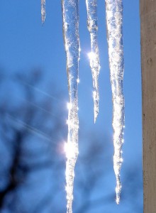 Icicles by Liz West at flickr