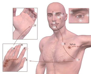 The main EFT points