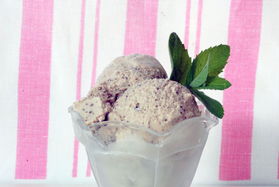 Mint chip ice cream