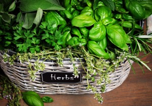 How to grow a thriving herb garden