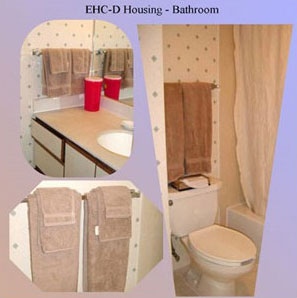 EHC-D bathroom