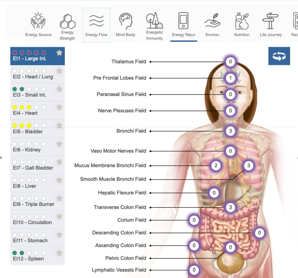 Energy Flow Screen