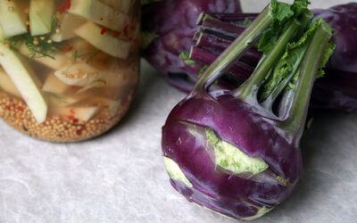 Cultured kohlrabi dill pickles