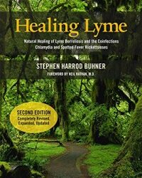 2nd edition of Healing Lyme has been published