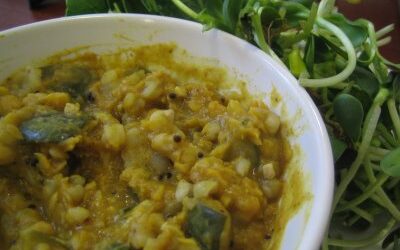 Spicy zucchini and chana dal