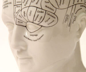 How XMRV Retrovirus Findings May Fit With The Amygdala Hyperarousal Model for ME/CFS