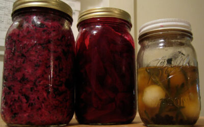 Cultured veggies: Red Sea sauerkraut, pickled pearl onions, pickled beets