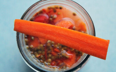 Cultured curried carrot sticks