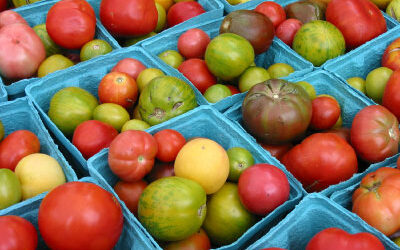 How to grow tomatoes