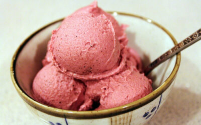 Dairy-free coconut kefir berry ice cream