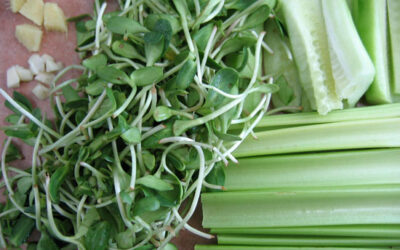 Green veggies and sprouts juice